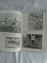 Книжка за осмо световното първенство по футбол в Англия 1966 година със снимки , коментари , снимка 9