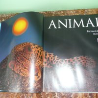 Животни. Animal: The Definitive Visual Guide, снимка 3 - Енциклопедии, справочници - 42162592