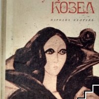 Графиня Козел Юзеф Игнаци Крашевски, снимка 1 - Художествена литература - 39611096