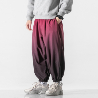 Тийнейджърски ежедневни модни градиентни панталони, 3цвята , снимка 5 - Панталони - 44775917