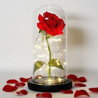 Роза в стъкленица с лед светлина, снимка 2 - Подаръци за жени - 27758639