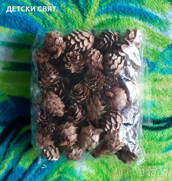 Мини шишарки - 50бр., снимка 1