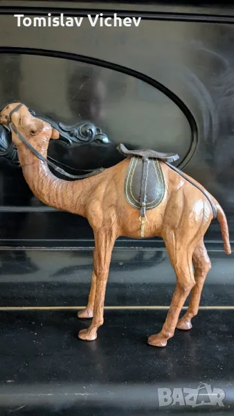 Камила от Дубай , снимка 1