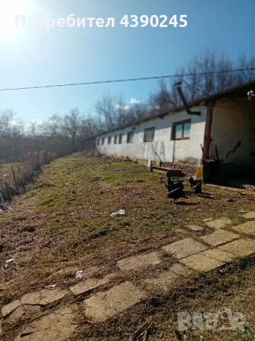 Животновъден обект , снимка 4 - Производствени сгради - 49143770