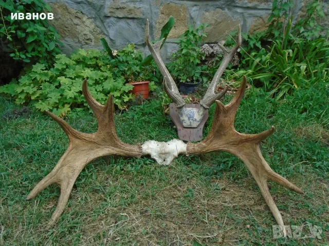 стари вещи чакръци, снимка 4 - Други стоки за дома - 56485990