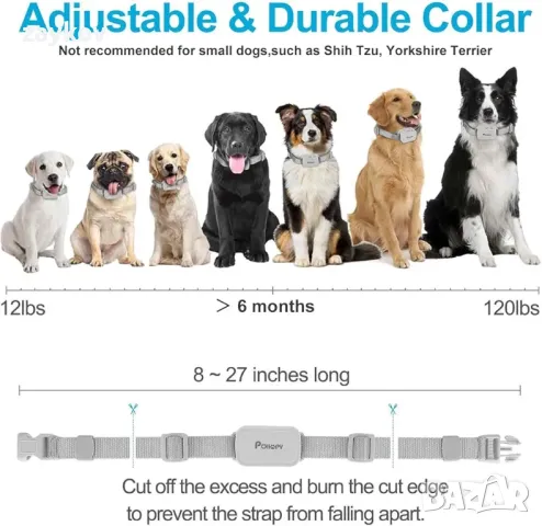 Нашийник за обучение на кучета Citronella с дистанционно, снимка 5 - Друга електроника - 48512054
