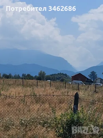 Продавам ПИ в с. Продановци, снимка 3 - Земеделска земя - 49096015
