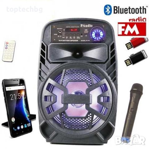 Караоке Тонколона 8 инча PAudio-80, Безжичен Микрофон, акумулаторна батерия, Bluetooth, FM радио, снимка 1 - Аудиосистеми - 30480985