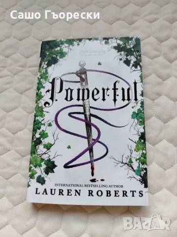 Powerful , снимка 1