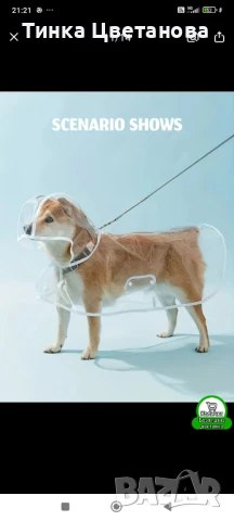 Дъждобран за куче , снимка 1