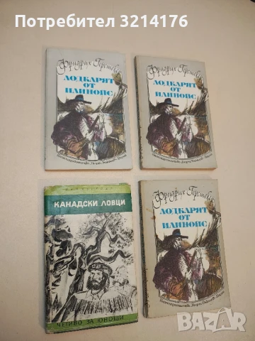 Лодкарят от Илинойс - Фридрих Герстекер