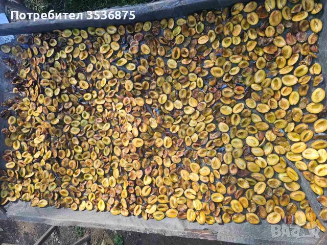 🍑☀️ НАТУРАЛНИ СУШЕНИ НА СЛЪНЦЕ СИНИ СЛИВИ ОТ ЕЛЕНСКИЯ БАЛКАН ☀️🍑, снимка 4 - Домашни продукти - 56139374