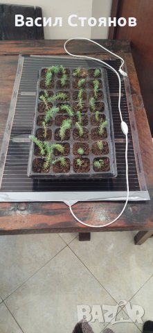 Нагревателна подложка за разсад Арно, снимка 3 - Разсади - 30952406