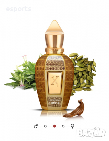 Нишов парфюм Xerjoff Oud Stars Luxor 50ml 1.7oz, снимка 3 - Унисекс парфюми - 36577856