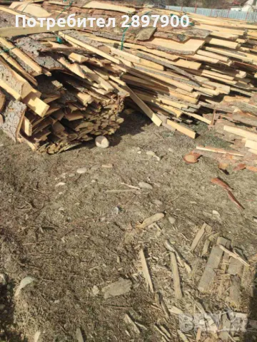 Продавам иглолистни изрезки , снимка 2 - Дърва за огрев - 48947270