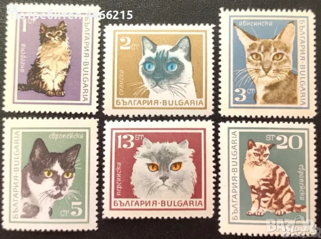 България, 1967 г. - пълна серия чисти марки, котки, 5*6