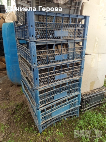 Контейнери за разсади , снимка 5 - Разсади - 53284334