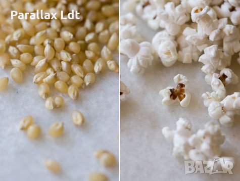 Царевица на зърна за пуканки