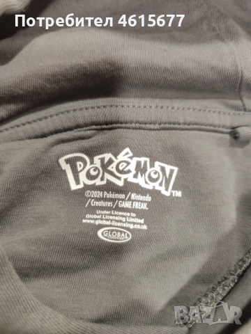 суичър с Покимон , снимка 6 - Детски анцузи и суичери - 52002619