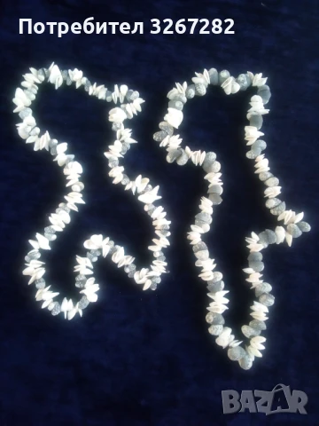 Гердани,Кубински,Редки Морски Раковини, снимка 4 - Колиета, медальони, синджири - 51310916