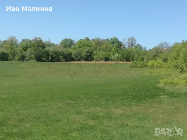 продавам два имота в село Лакатник , снимка 11 - Земеделска земя - 55769447