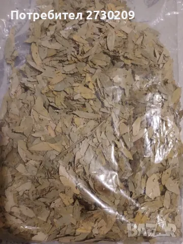 Чай Сена Майчин Лист от 200гр до 1000кг, снимка 9 - Други - 49164846