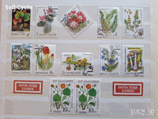 ✅ПОЩЕНСКИ МАРКИ - ФЛОРА - БЪЛГАРИЯ, СССР❗