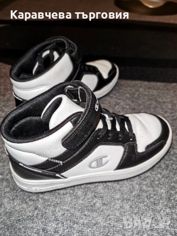 Кецове Champion