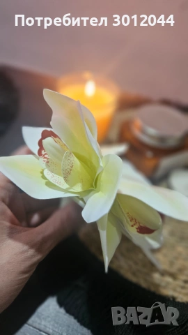 Шнола, снимка 6 - Аксесоари за коса - 53919129