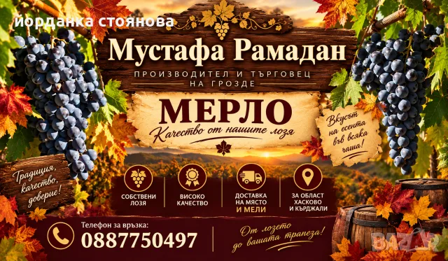 Продавам Мерло на 60 цента от място, с мелене и доставка до дома 70 цента