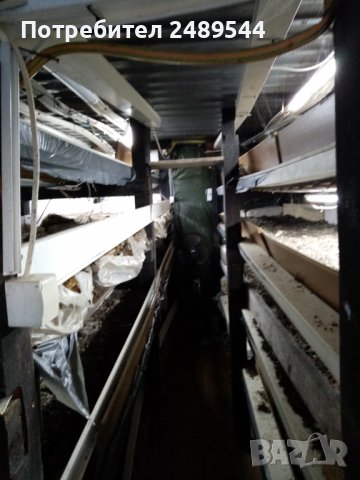 20 футов контейнер за земеделие, хидропоника - за производство на разсад, микро растения и гъби, снимка 1 - Оранжерии - 39311506