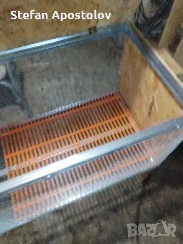  Калифорнийски зайци, снимка 18 - Други - 38133793