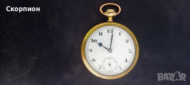 Швейцарски джобен часовник - 10 РУБИНА - ПРОМОЦИЯ, снимка 12 - Джобни - 48554694