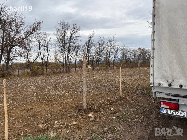 От собственик парцел 1 декар в Ботунец, снимка 7 - Парцели - 52428886
