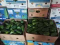 Продавам зелена капия на едро, снимка 2