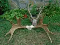 стари вещи чакръци, снимка 4