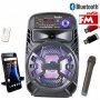 Караоке Тонколона 8 инча PAudio-80, Безжичен Микрофон, акумулаторна батерия, Bluetooth, FM радио