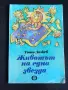 Детски книги разни, снимка 4