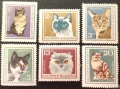 България, 1967 г. - пълна серия чисти марки, котки, 5*6, снимка 1
