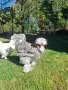 Струмски стандарт трио, снимка 1