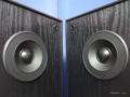 Двулентови тонколони DK Digital. Изпращам видео., снимка 3