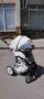 Бебешка/детска количка, снимка 6