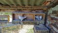 Гълъби сатинети, снимка 7