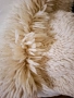 Китеник от агнешка вълна 230/150см, снимка 4