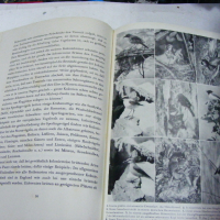 Книги на немски език, снимка 9 - Енциклопедии, справочници - 44728217