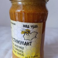 Имуностимулант-пчелен мед,пчелно млечице,пчелен прашец и прополис 400 гр., снимка 1 - Пчелни продукти - 42173783