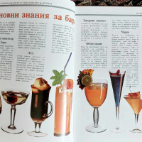 Фантастични коктейли и тонизиращи напитки, снимка 3 - Специализирана литература - 44802785
