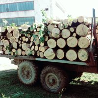 Продавам дърва за огрев, снимка 4 - Други услуги - 42637061