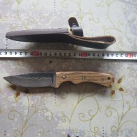 Уникален ловен нож Хербетс Солинген номер с кания , снимка 2 - Ножове - 29403586