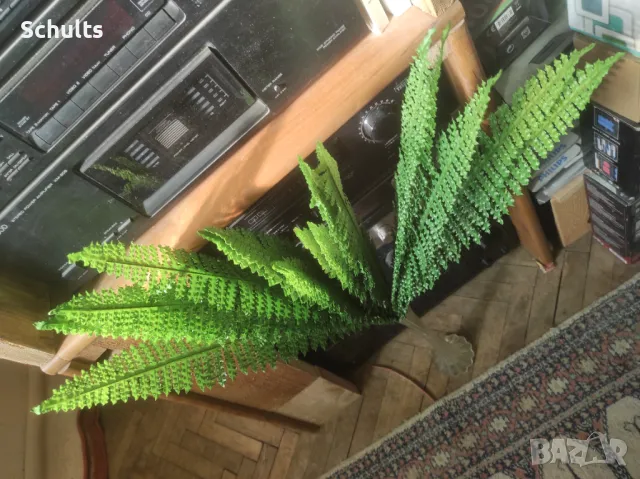 Папрат изкуствен 60 см.2 бр.за 20лв, снимка 4 - Изкуствени цветя - 48330309